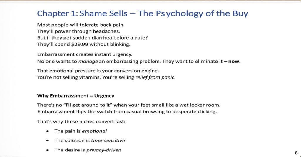 Make Money With AI & PLR Quirky Products People Buy Online 2025